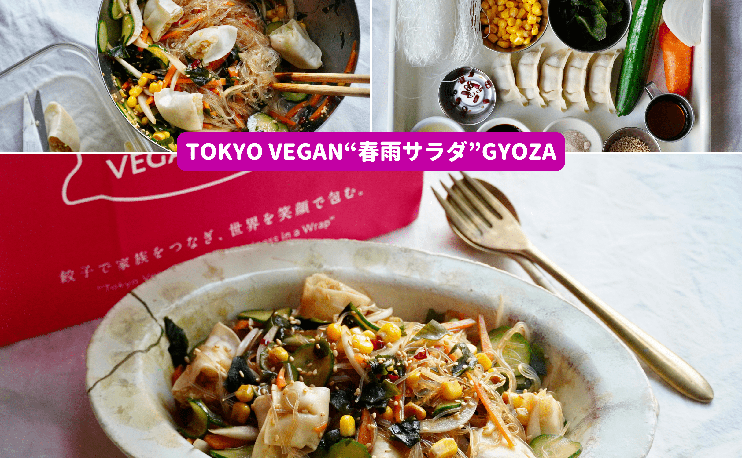 #東京ヴィーガン餃子アレンジレシピ:Tokyo Vegan“春雨サラダ”Gyoza - Grino