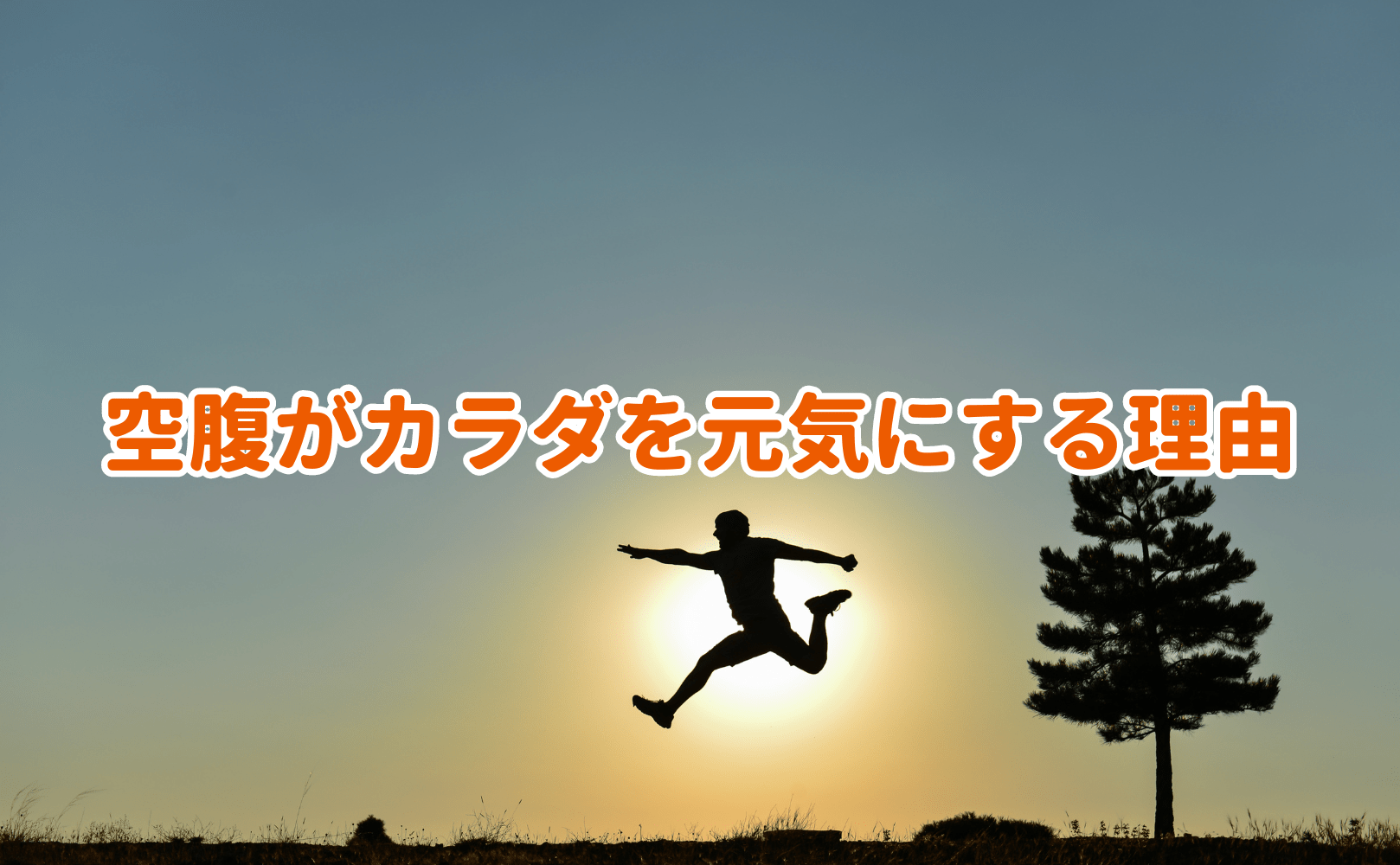 空腹がカラダを元気にする理由 - Grino