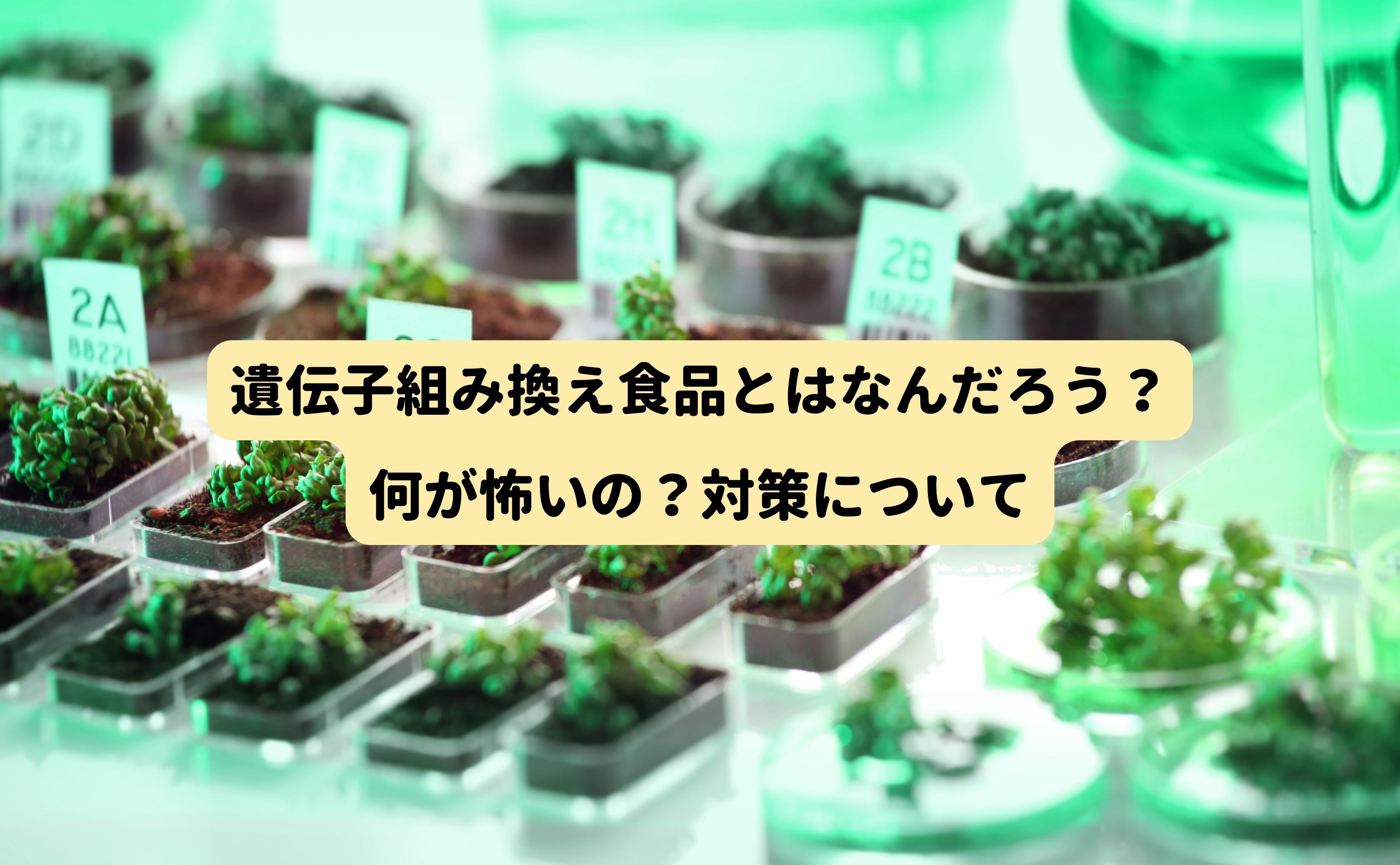 遺伝子組み換え食品とはなんだろう？ - Grino