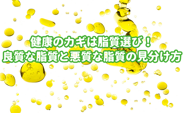 健康のカギは脂質選び！良質な脂質と悪質な脂質の見分け方